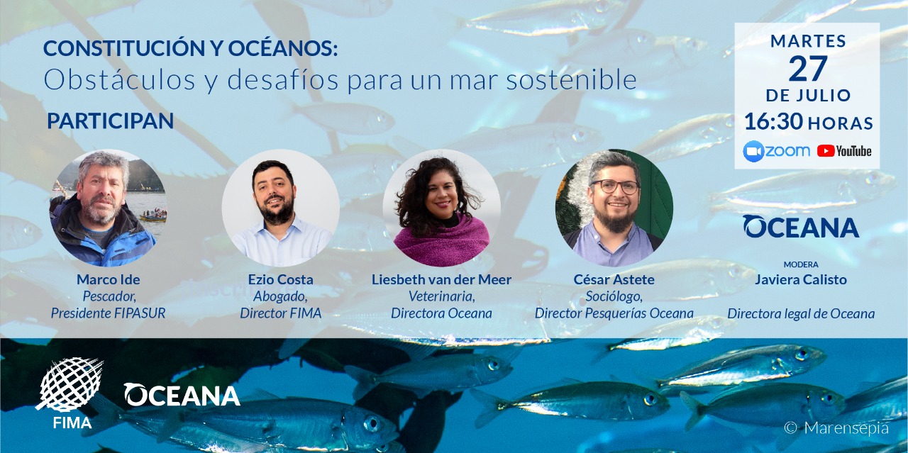 Constitución y océanos: obstáculos y desafíos para un mar sostenible