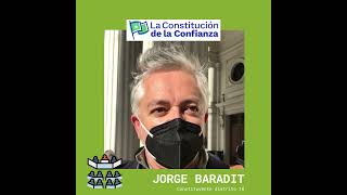 *Cápsula de la Confianza: Jorge Baradit, Constituyente distrito 10
